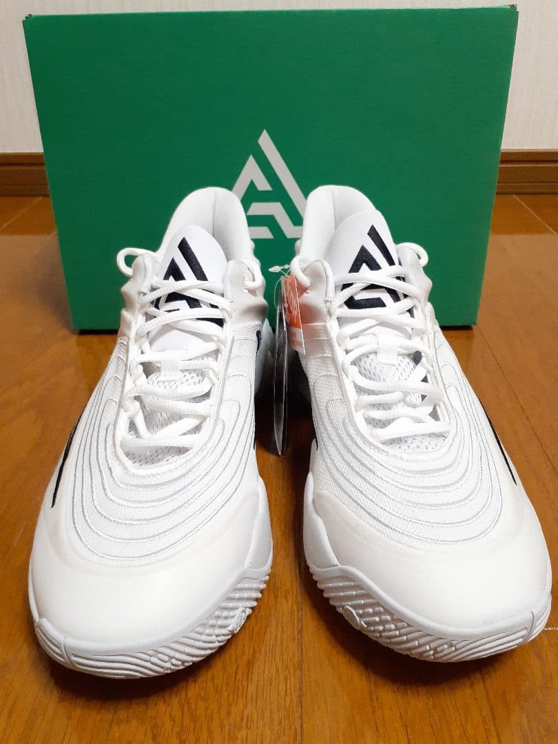 NIKE　ヤニス イモータリティ 4 EP 28.5cm　新品　GIANNIS