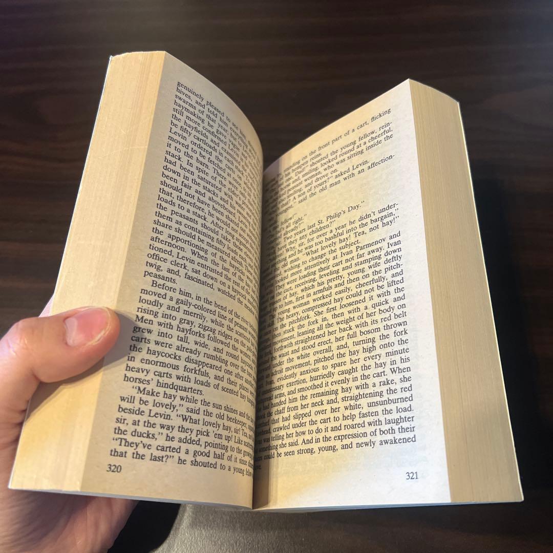 【洋書】Leo Tolstoy Anna Karenina