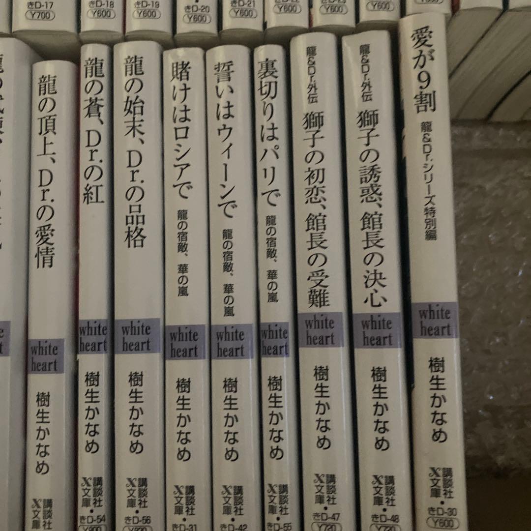 bl小説 龍&Dr.シリーズ　全巻揃い　まとめ売り
