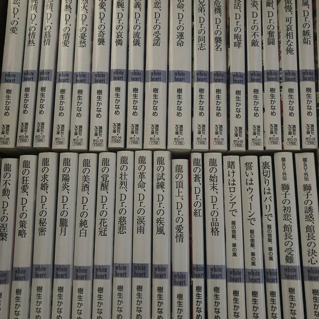 bl小説 龍&Dr.シリーズ　全巻揃い　まとめ売り
