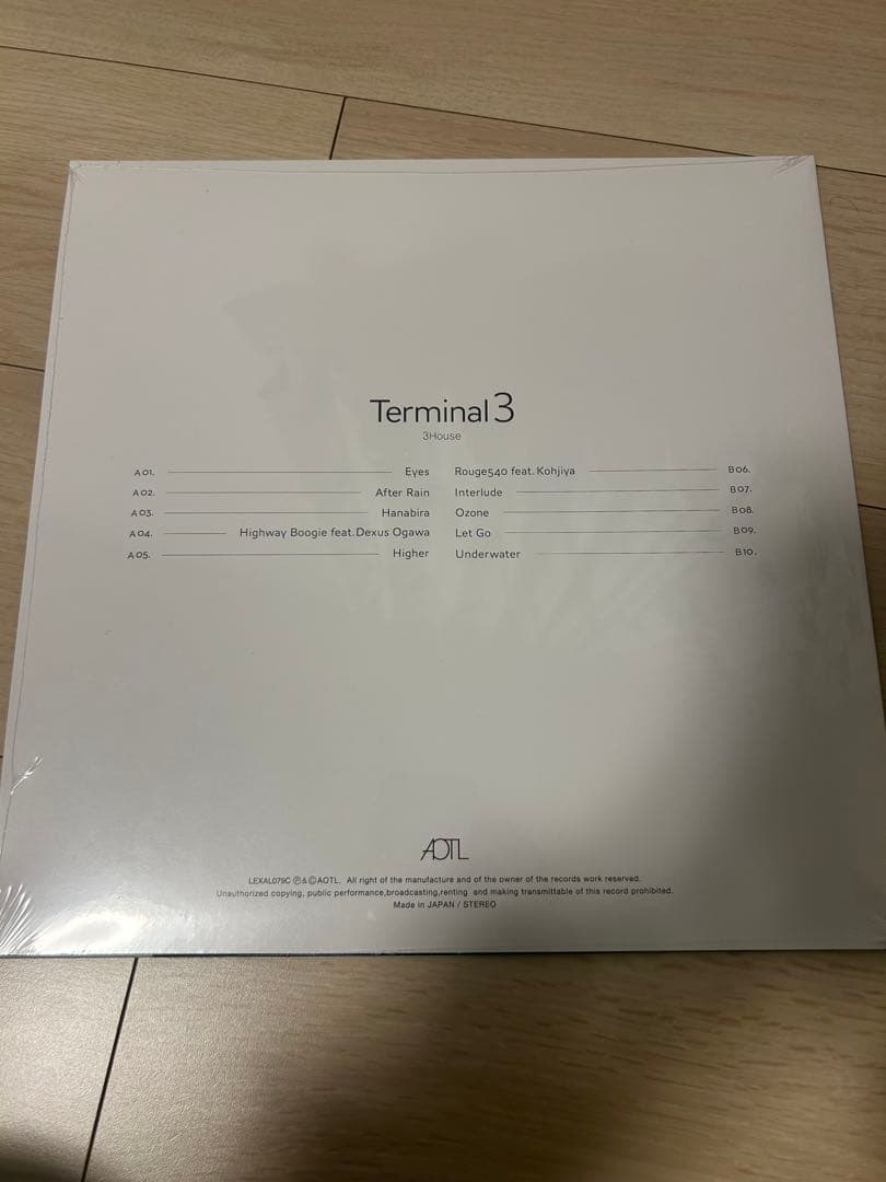 ひ*ひ様 3house Terminal 3 レコード