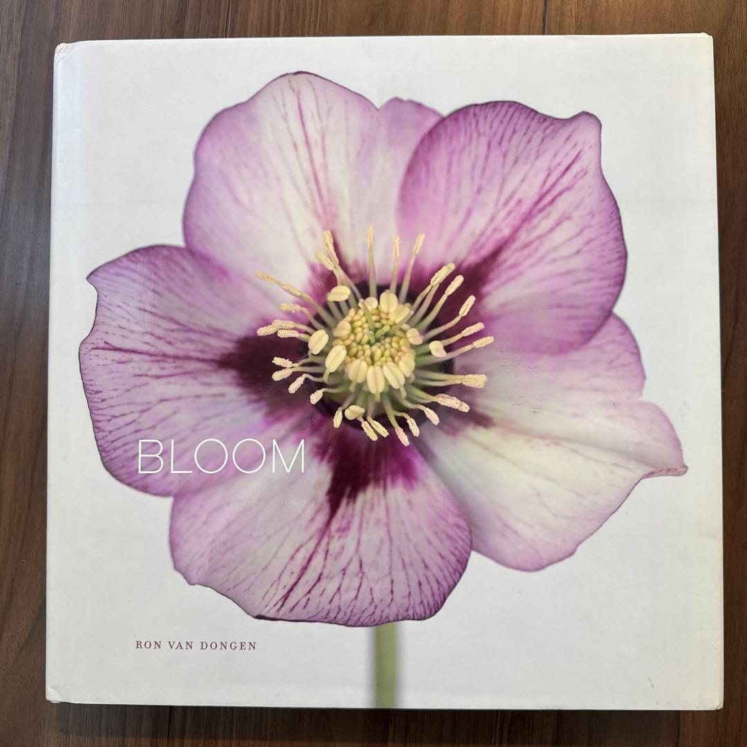 アート・デザイン・音楽 BLOOM Ron Van Dongen