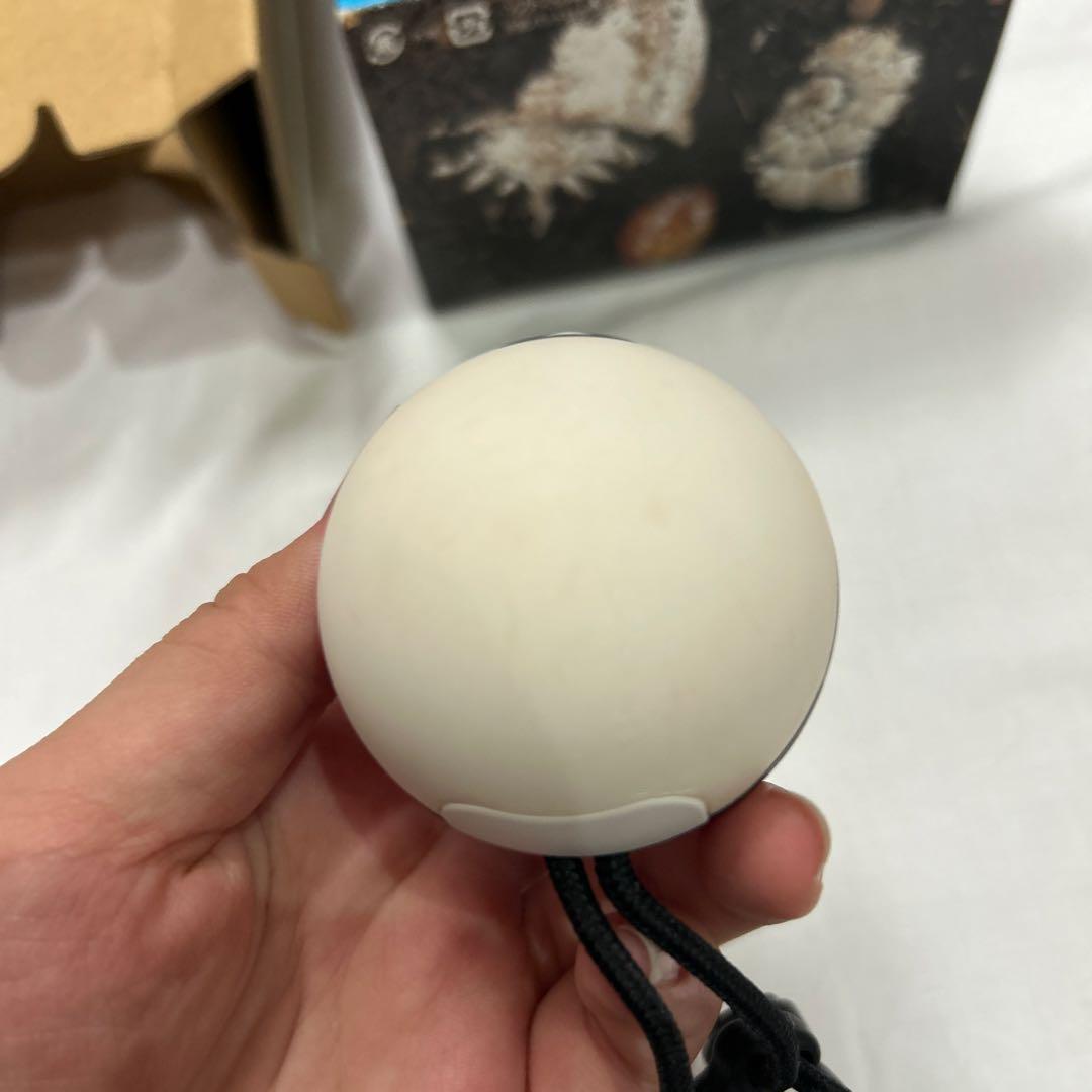 ポケモン　レッツゴーイーブイ　Switch セット