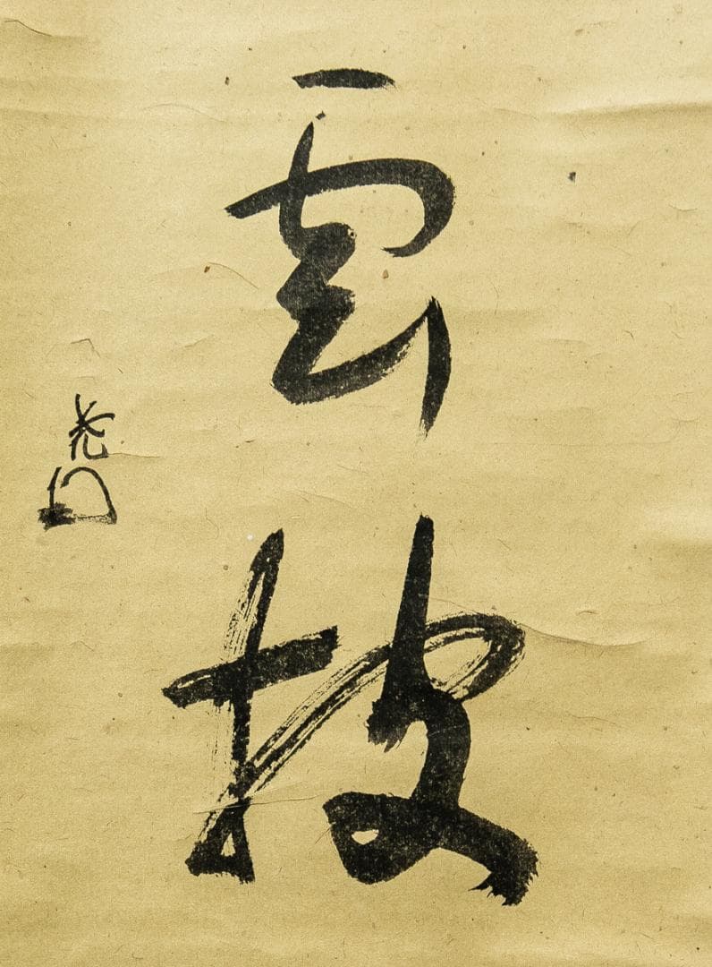 掛軸-1588　表千家　吉田尭文 （暁々斎紹村)　「松老五雲披」　共箱