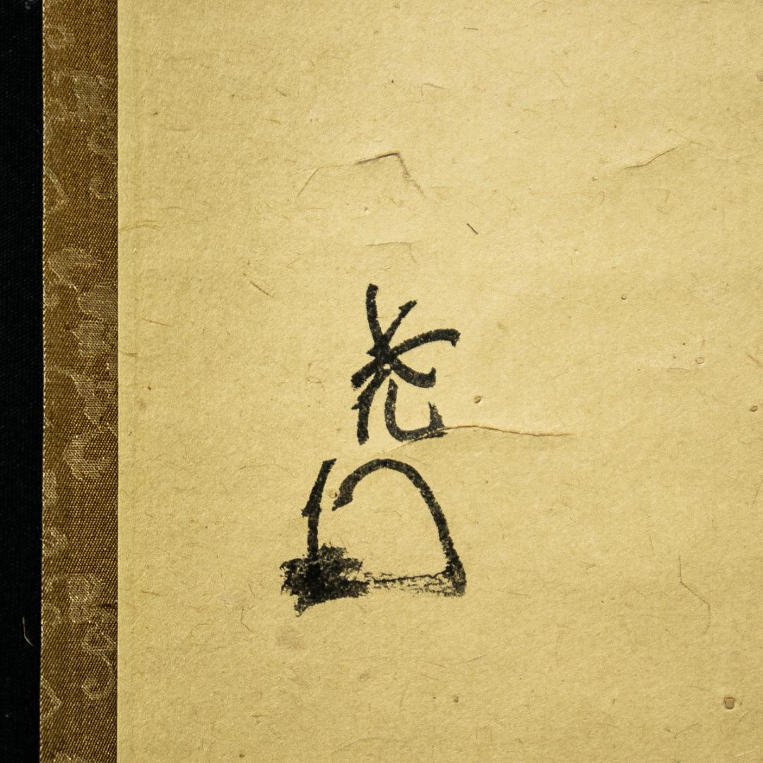 掛軸-1588　表千家　吉田尭文 （暁々斎紹村)　「松老五雲披」　共箱