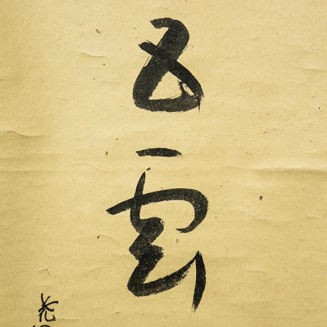 掛軸-1588　表千家　吉田尭文 （暁々斎紹村)　「松老五雲披」　共箱