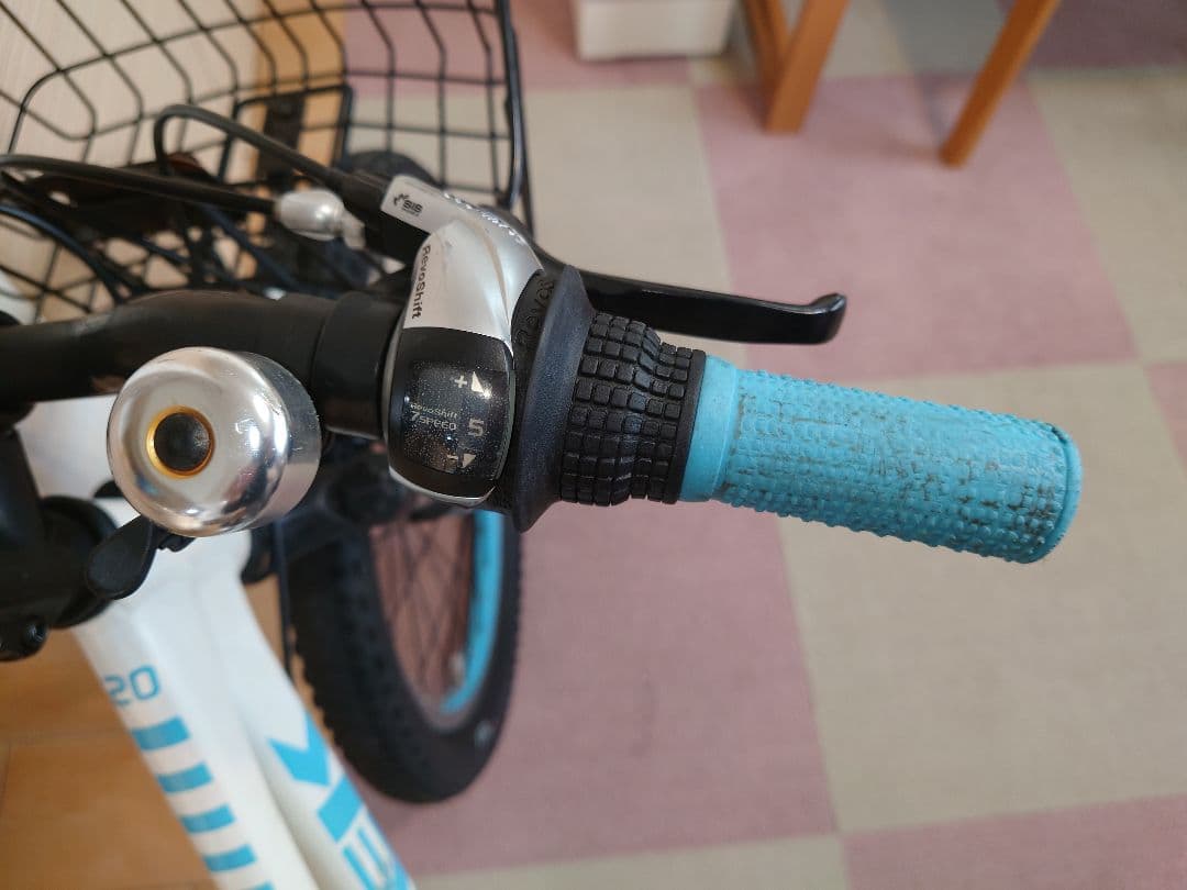 TREKPrecaliber 20インチ(子供用自転車) 身長114-132cm