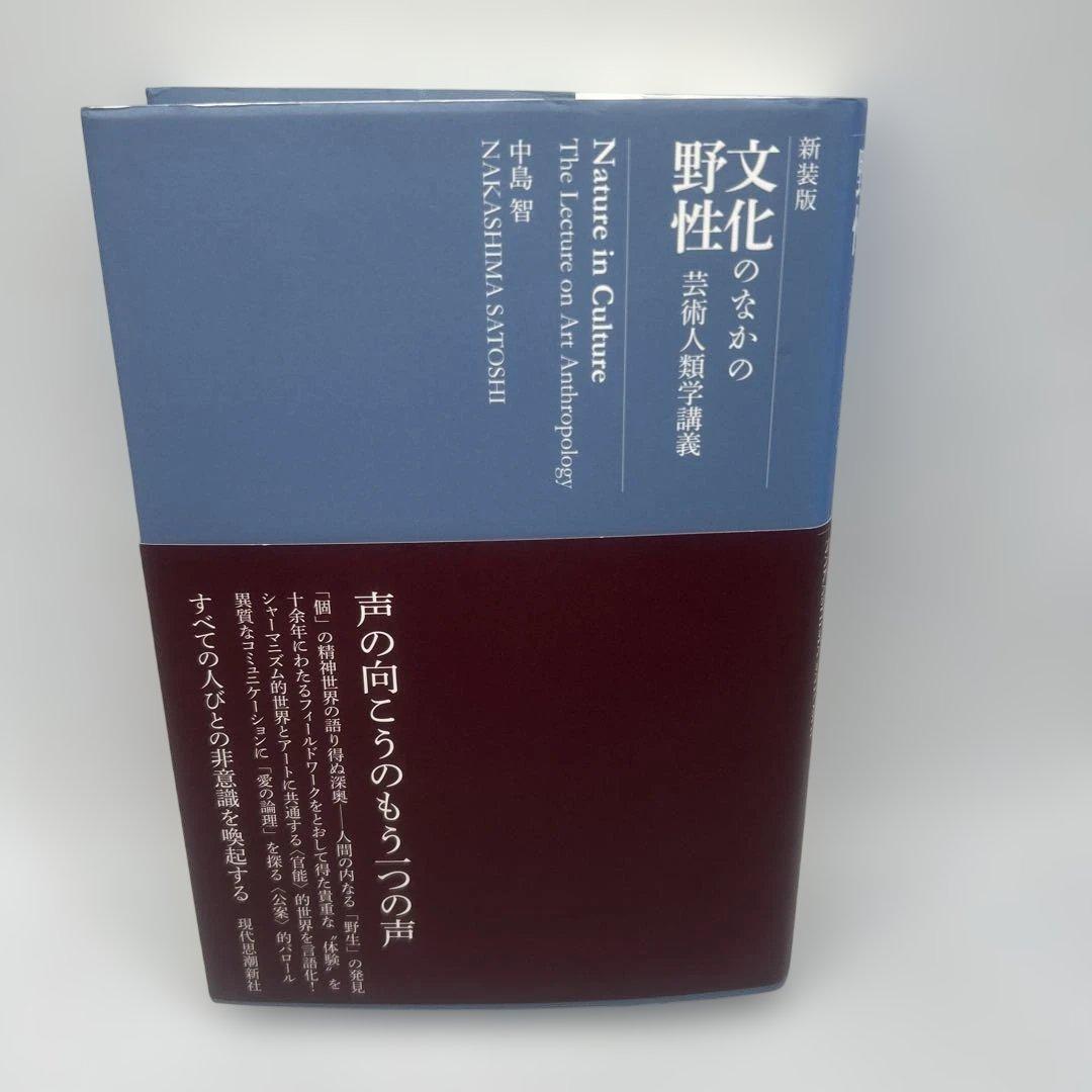 文化のなかの野性 : 芸術人類学講義