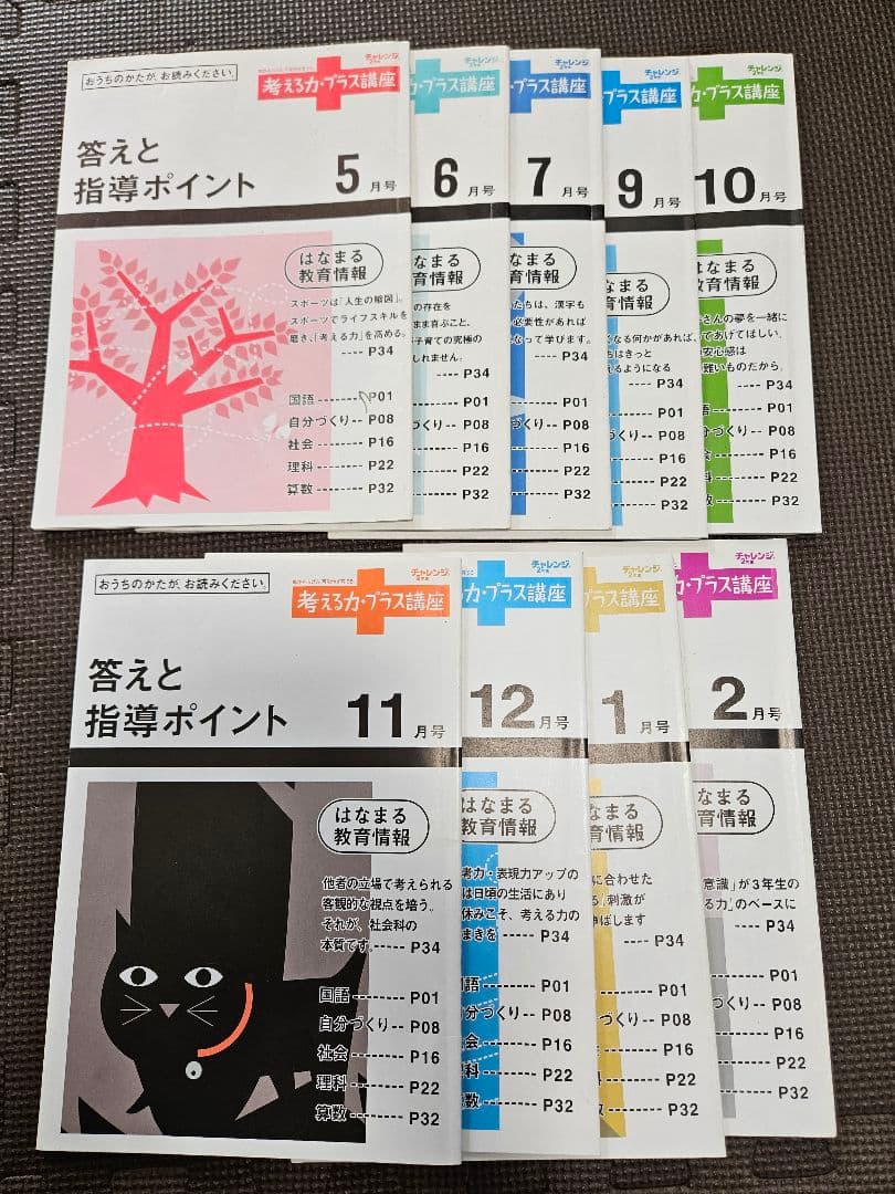 進研ゼミ 考える力プラス 小学講座 オプション 2年生 にゃっち 小2 小学生
