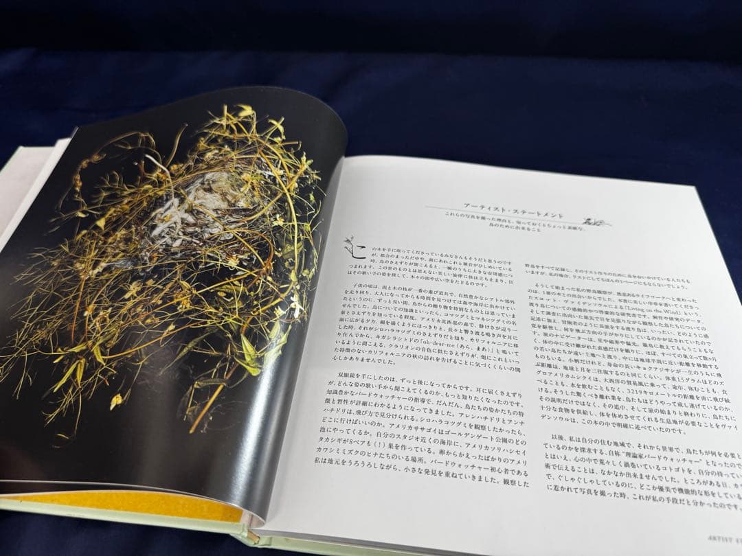 「写真集　鳥の巣」SHARON BEALS グラフィック社