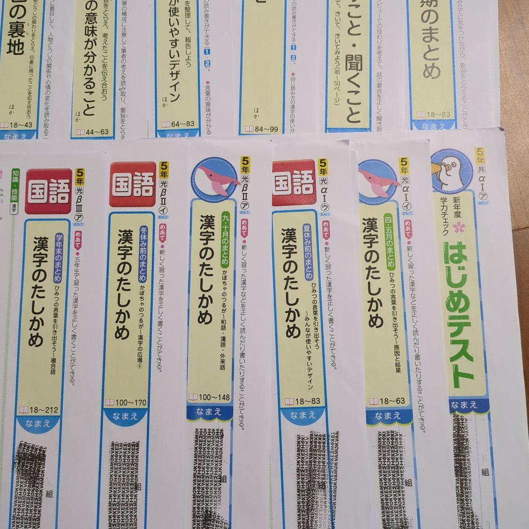 国語 5年生 カラーテスト　光村図書　正進社
