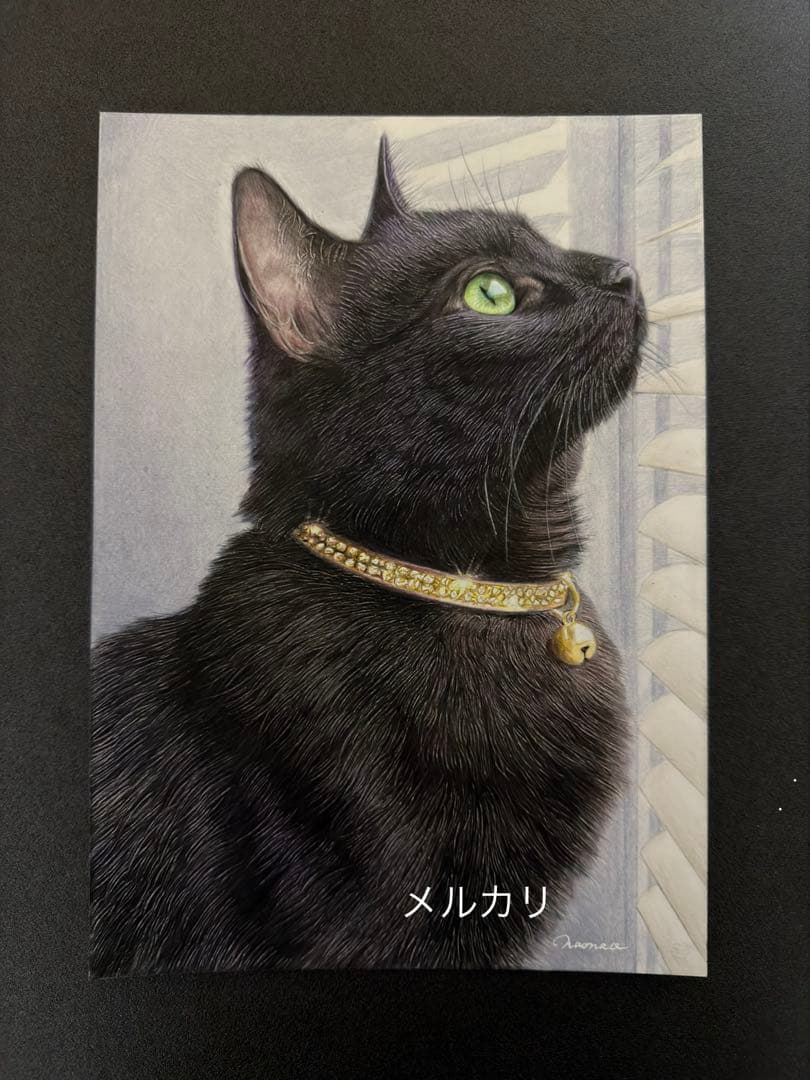 色鉛筆画 A4光を見つめる黒猫