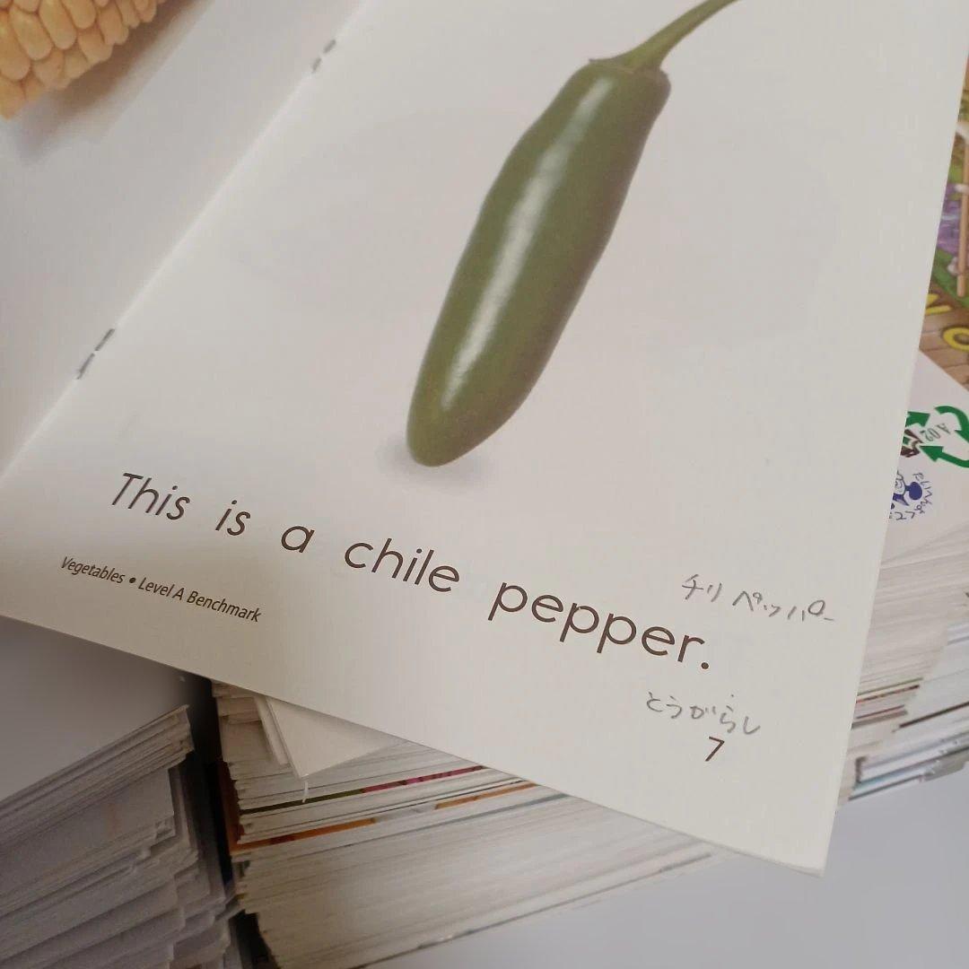 英語　絵本　まとめ売り