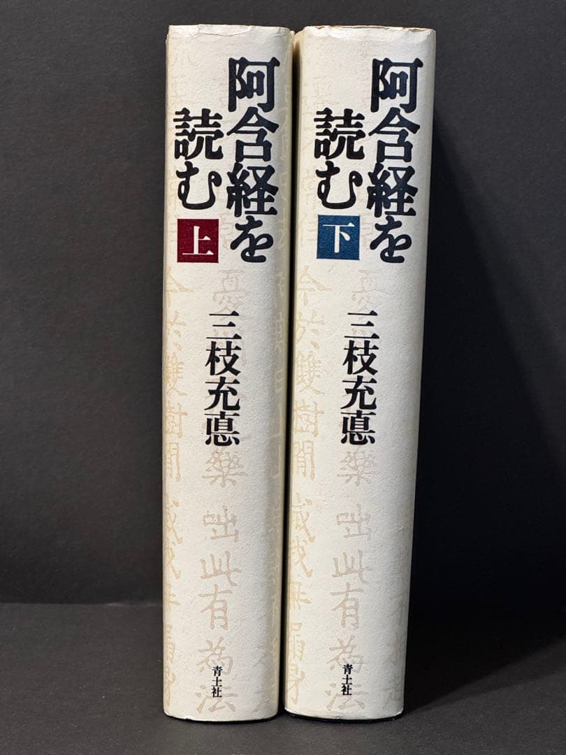 阿含経を読む 上下巻セット 三枝充悳 青土社 仏教思想