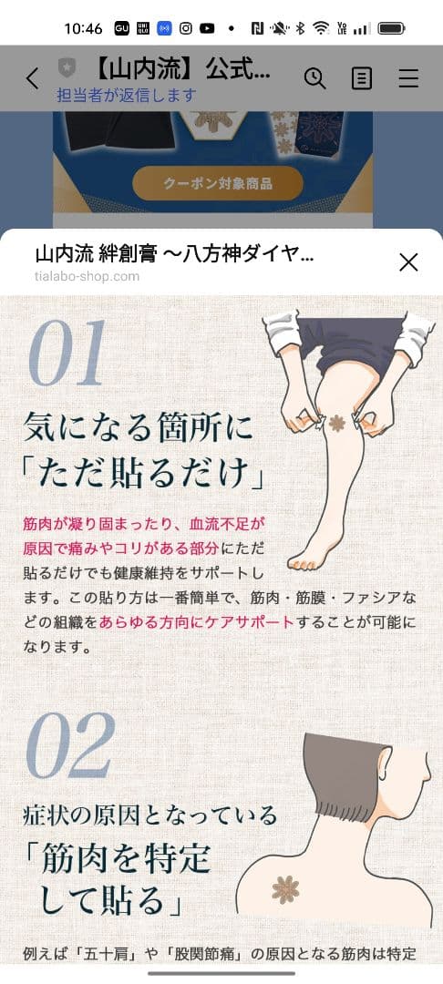 体の不調をすべて解決する 絆創膏を貼るだけ整体書籍＋八方神ダイヤテープ30枚
