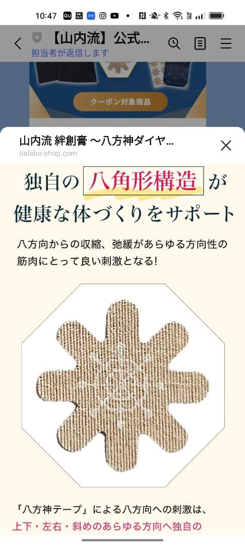 体の不調をすべて解決する 絆創膏を貼るだけ整体書籍＋八方神ダイヤテープ30枚