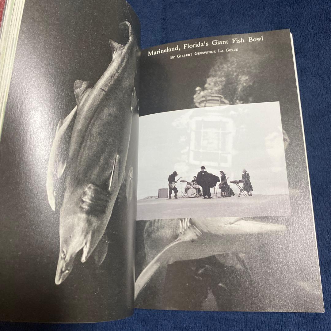 【期間生産限定盤】サカナクション／魚図鑑（CD2枚組＋魚図鑑）DVD付き
