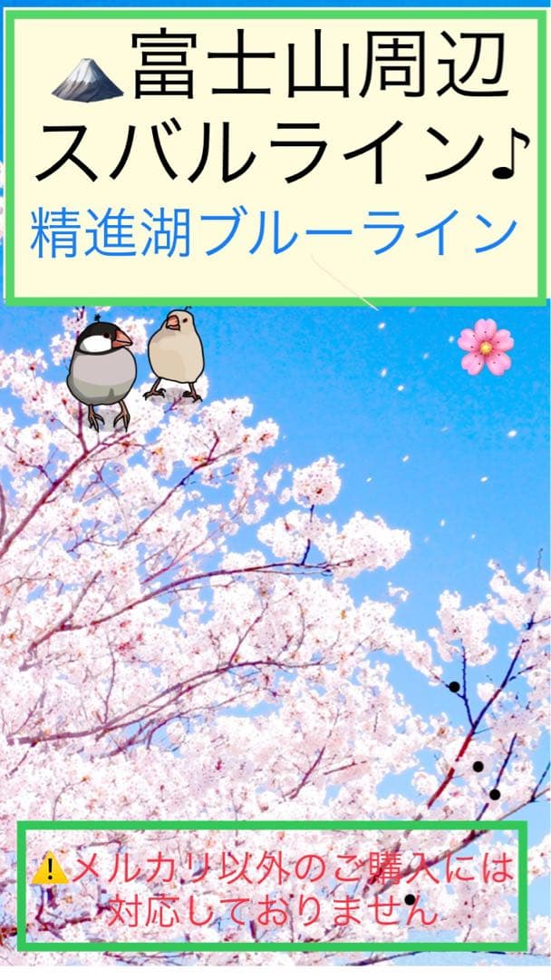 バスガイド資料・テキスト・教本【ご予約の方以外、購入出来ません】