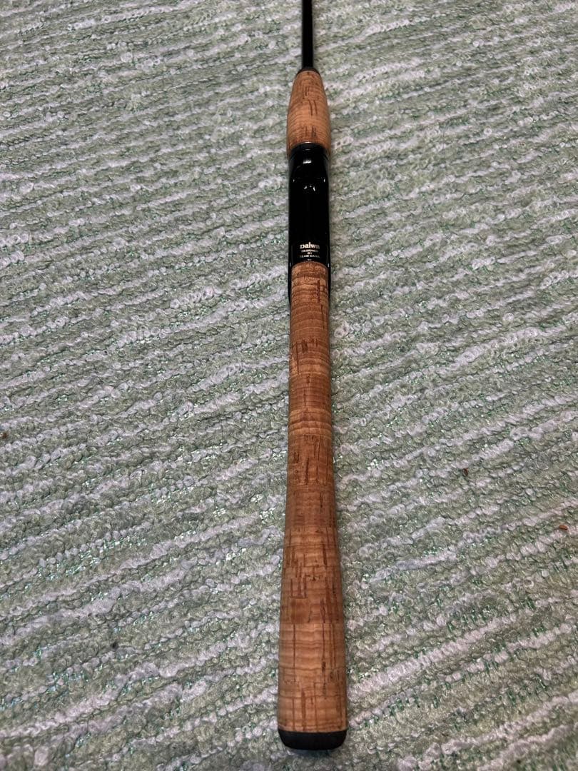 TEAM DAIWA ダイワ TOURNAMENT TD-T 601-1FS G