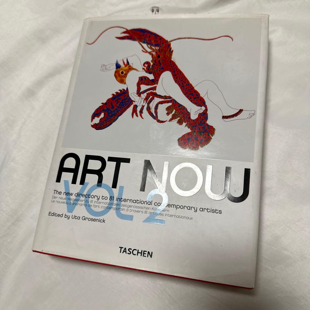洋書　世界の現代アート作品写真集 本 絵画 工芸 彫刻