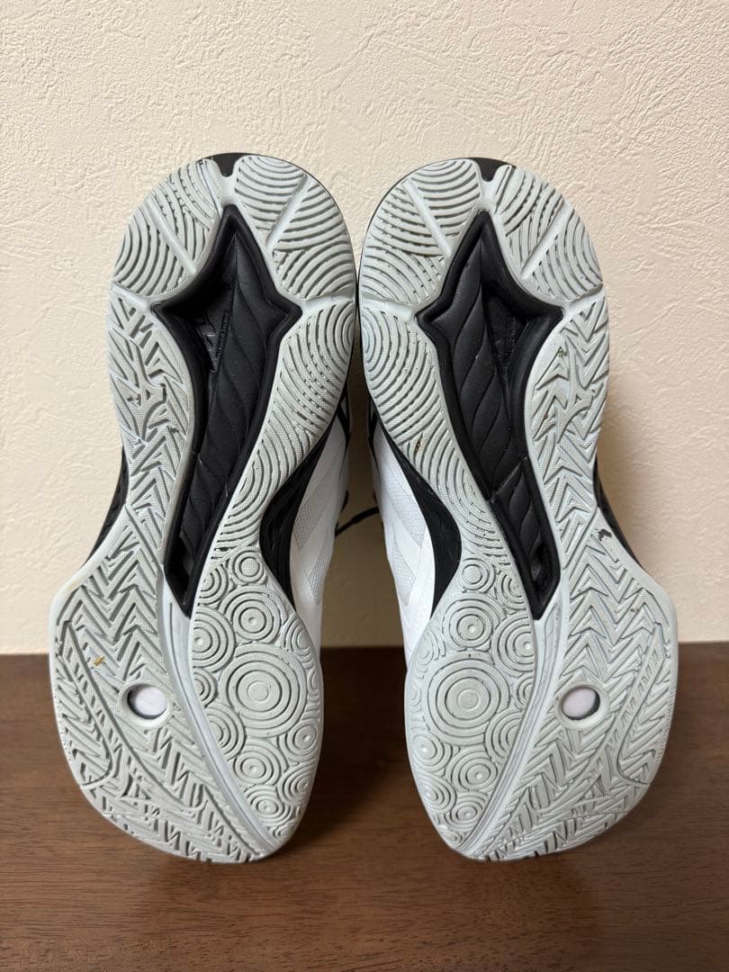 Mizuno WAVE FANG EL 2 バドミントンシューズ　美品 26.5