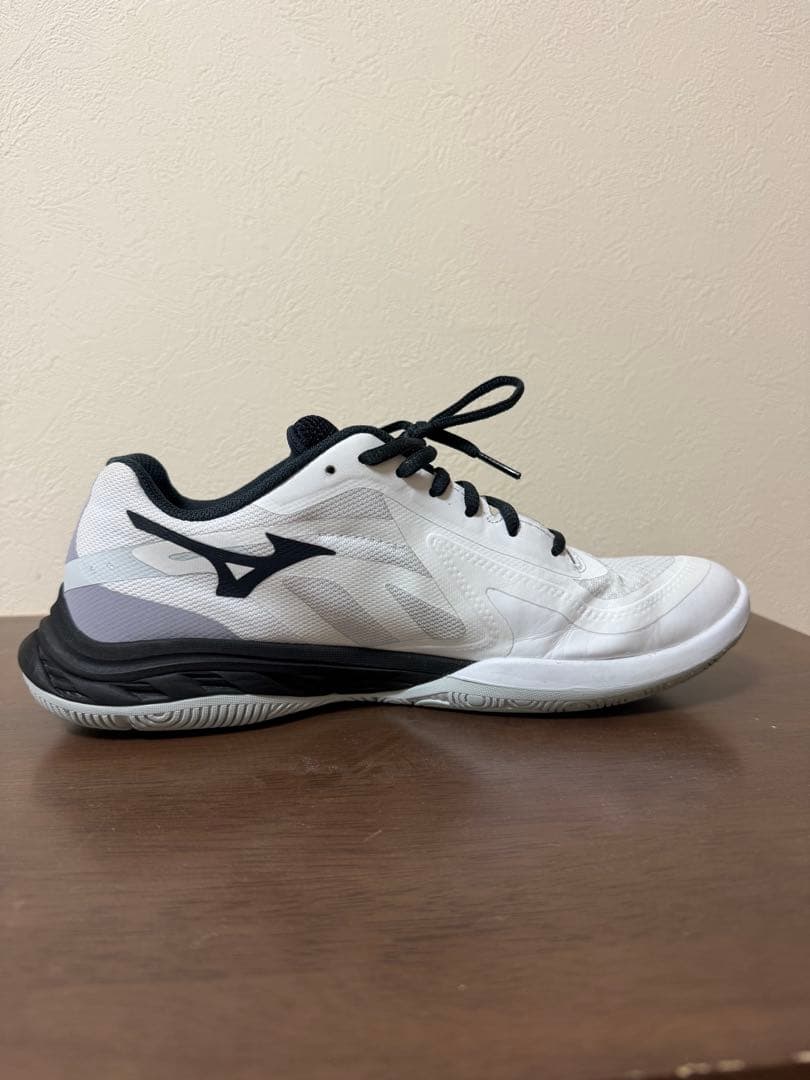 Mizuno WAVE FANG EL 2 バドミントンシューズ　美品 26.5