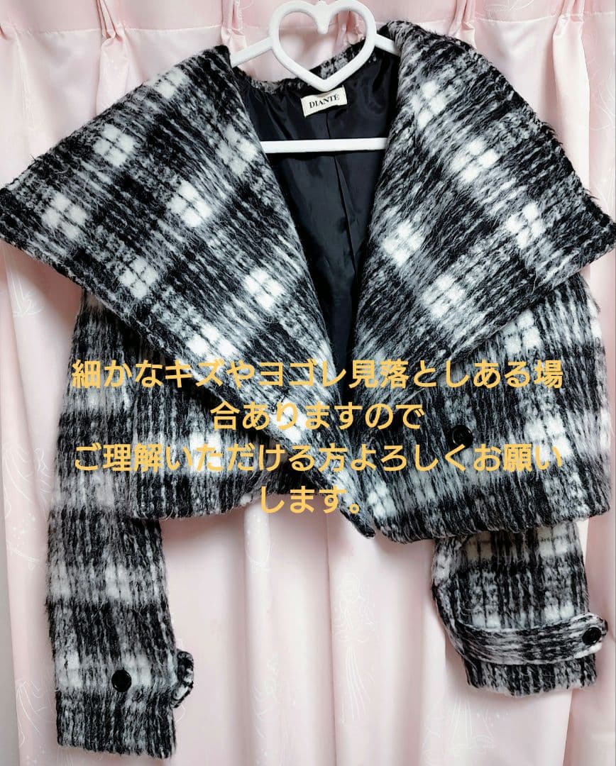 DIANTE ディアンテBig color shaggy jacket