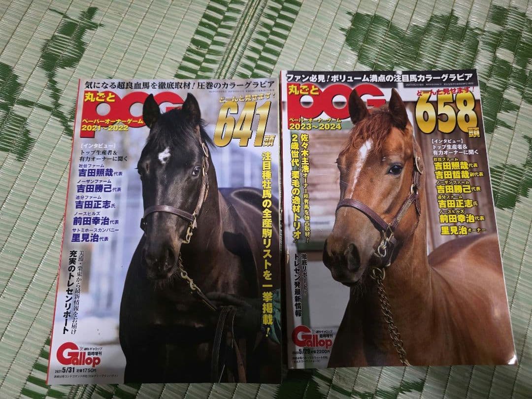 週刊Gallop丸ごとPOG 12冊セット