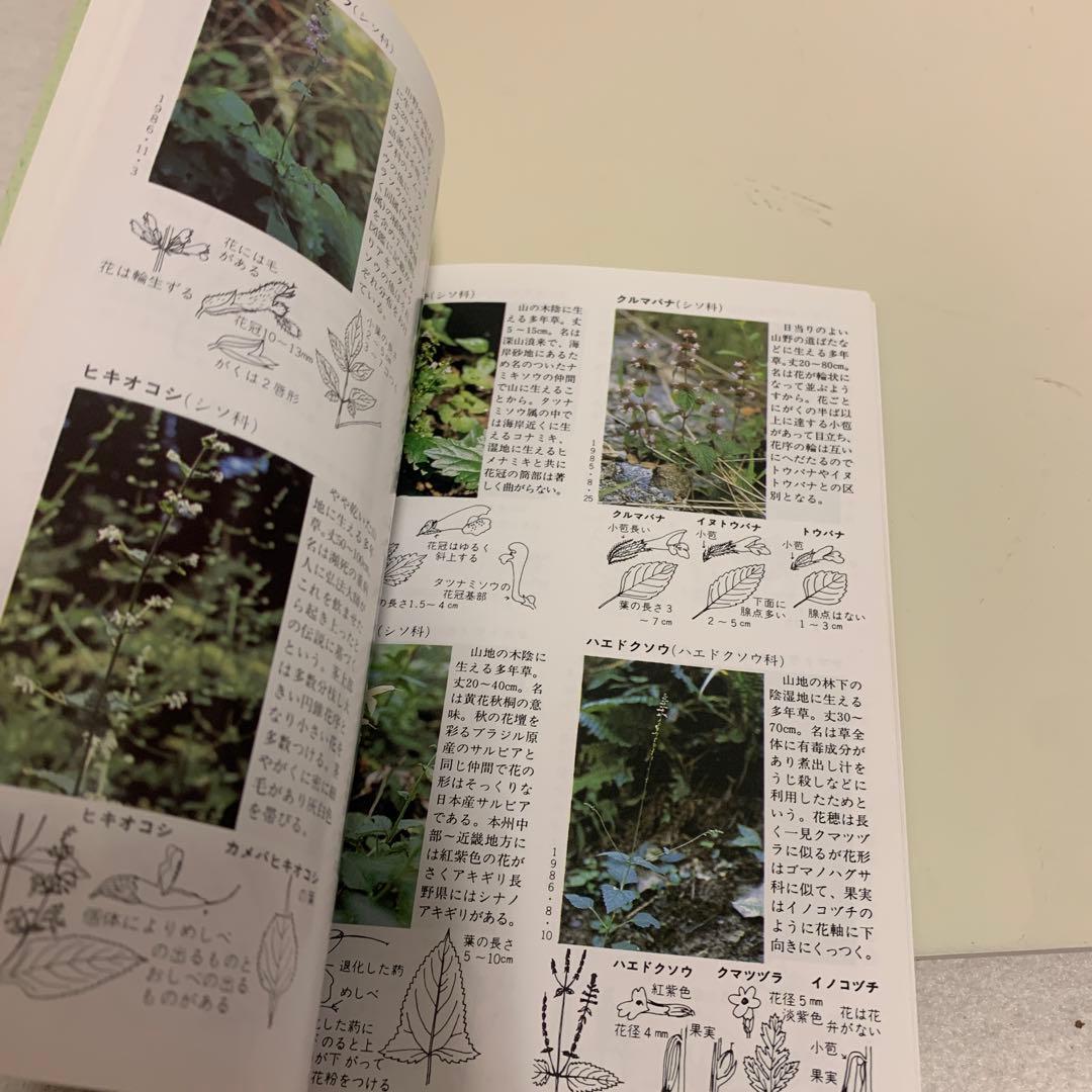 花のハイキング 高尾 陣馬　古書　希少　激レア