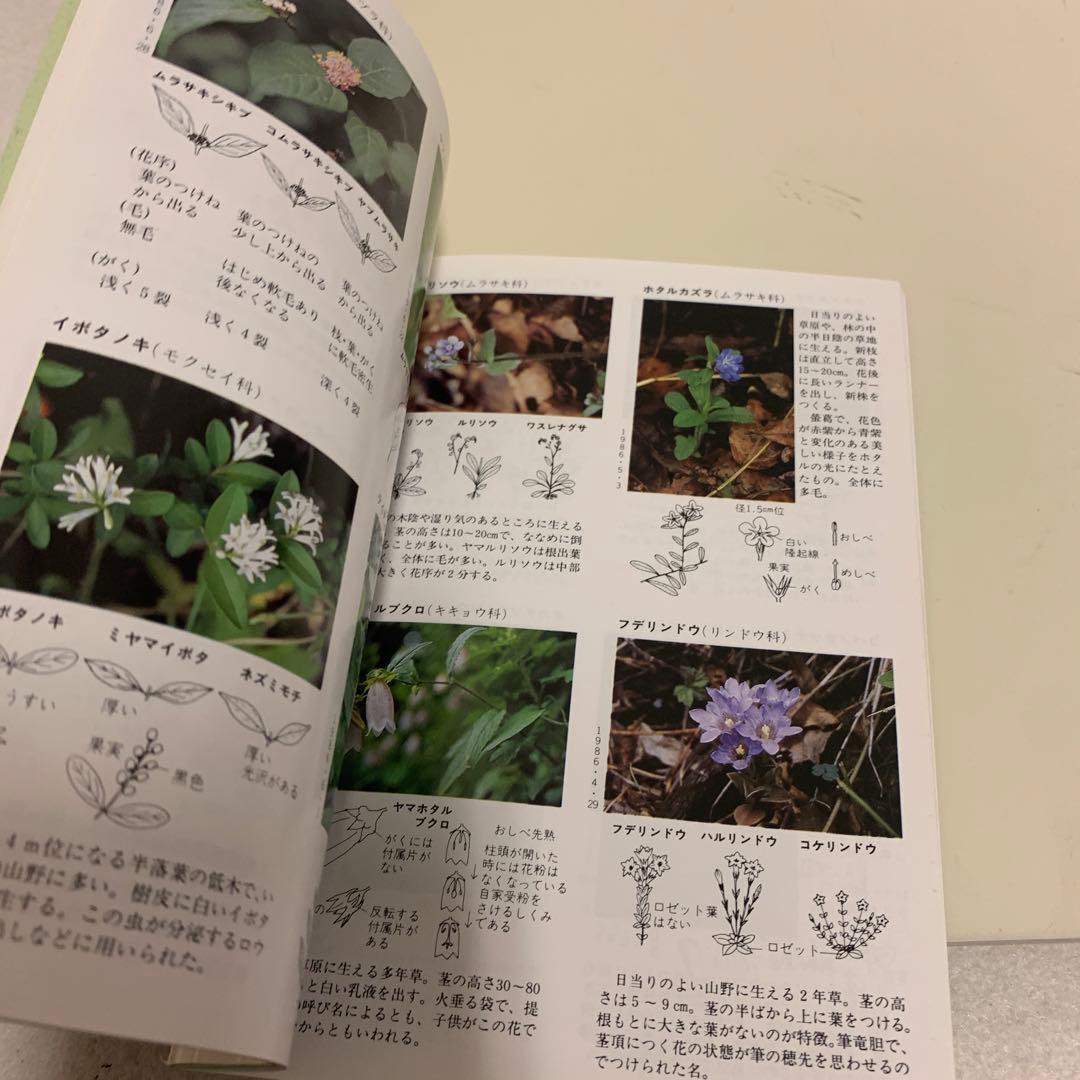花のハイキング 高尾 陣馬　古書　希少　激レア