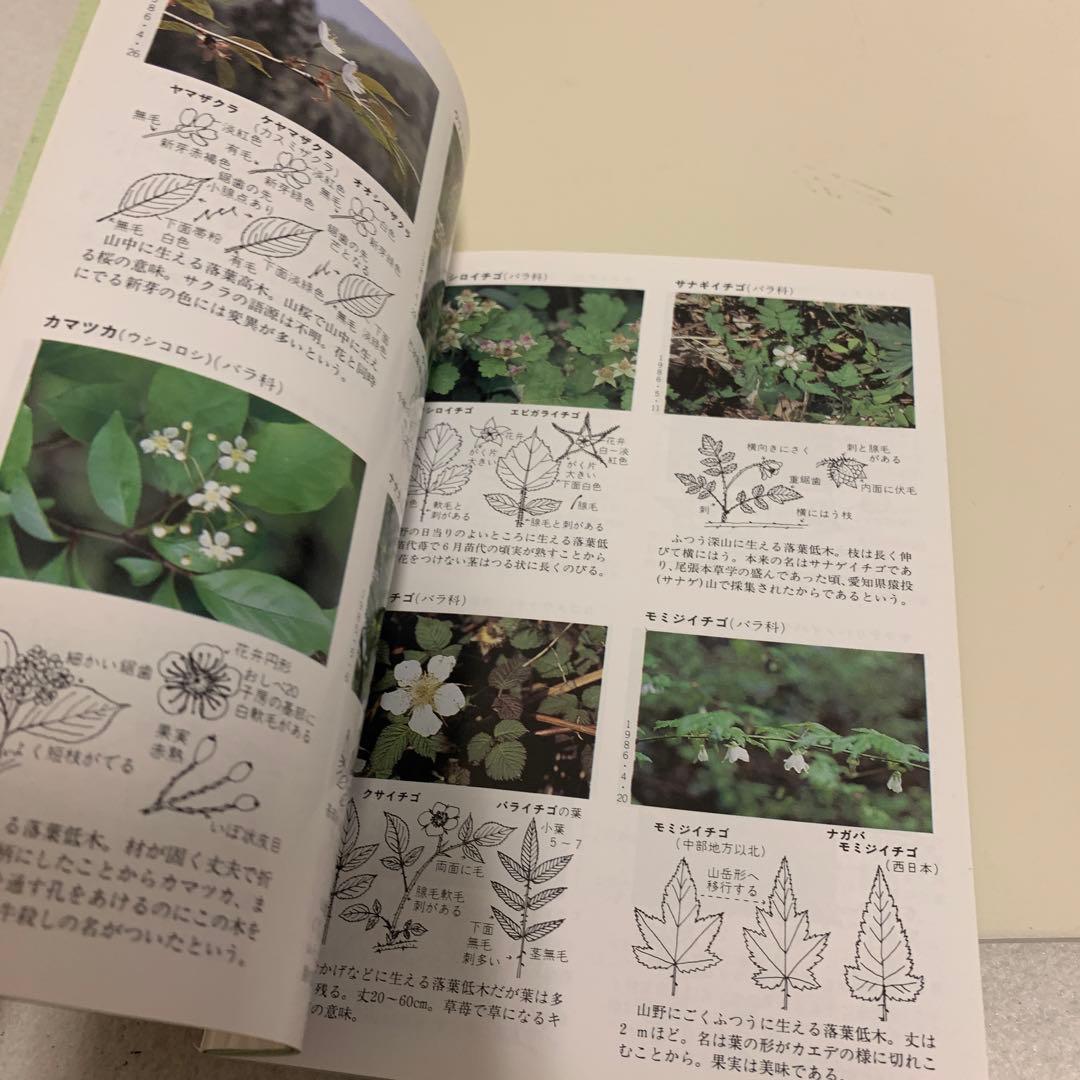 花のハイキング 高尾 陣馬　古書　希少　激レア