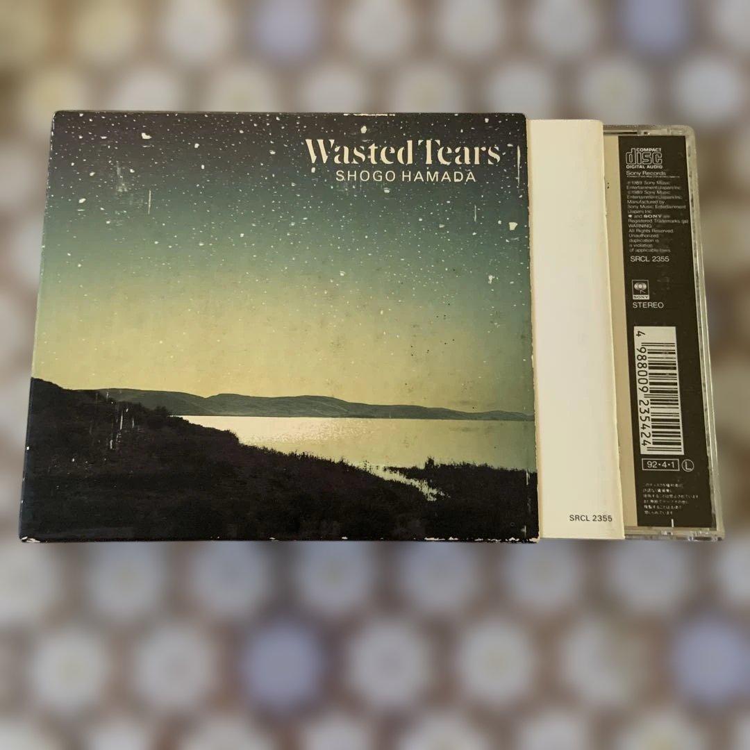 浜田省吾Wasted Tears (Q13 )