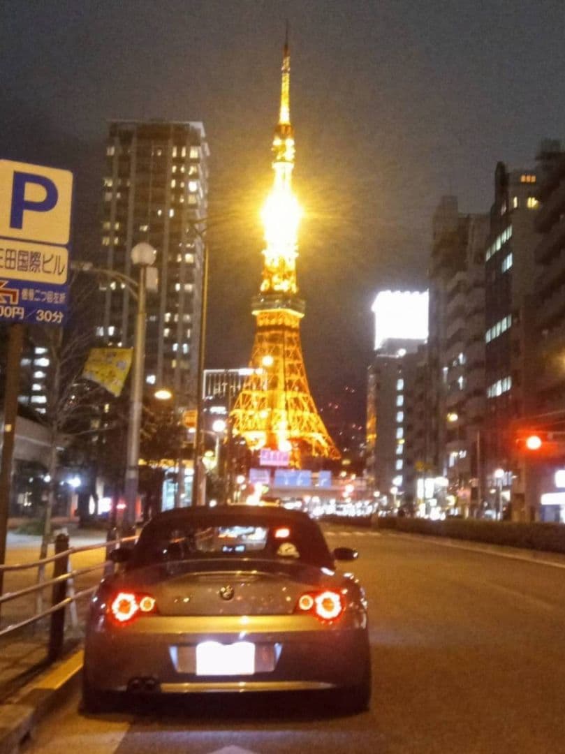  E85 Z4　総LED テールランプ　左右セット