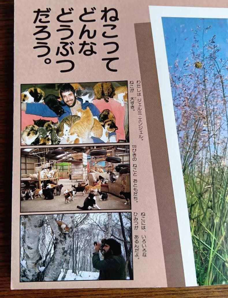 ねこ 小学館こども文庫　科学シリーズ　⑨ (1982年)