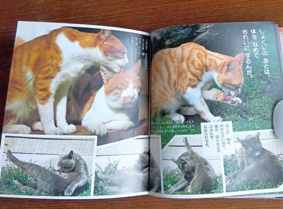 ねこ 小学館こども文庫　科学シリーズ　⑨ (1982年)