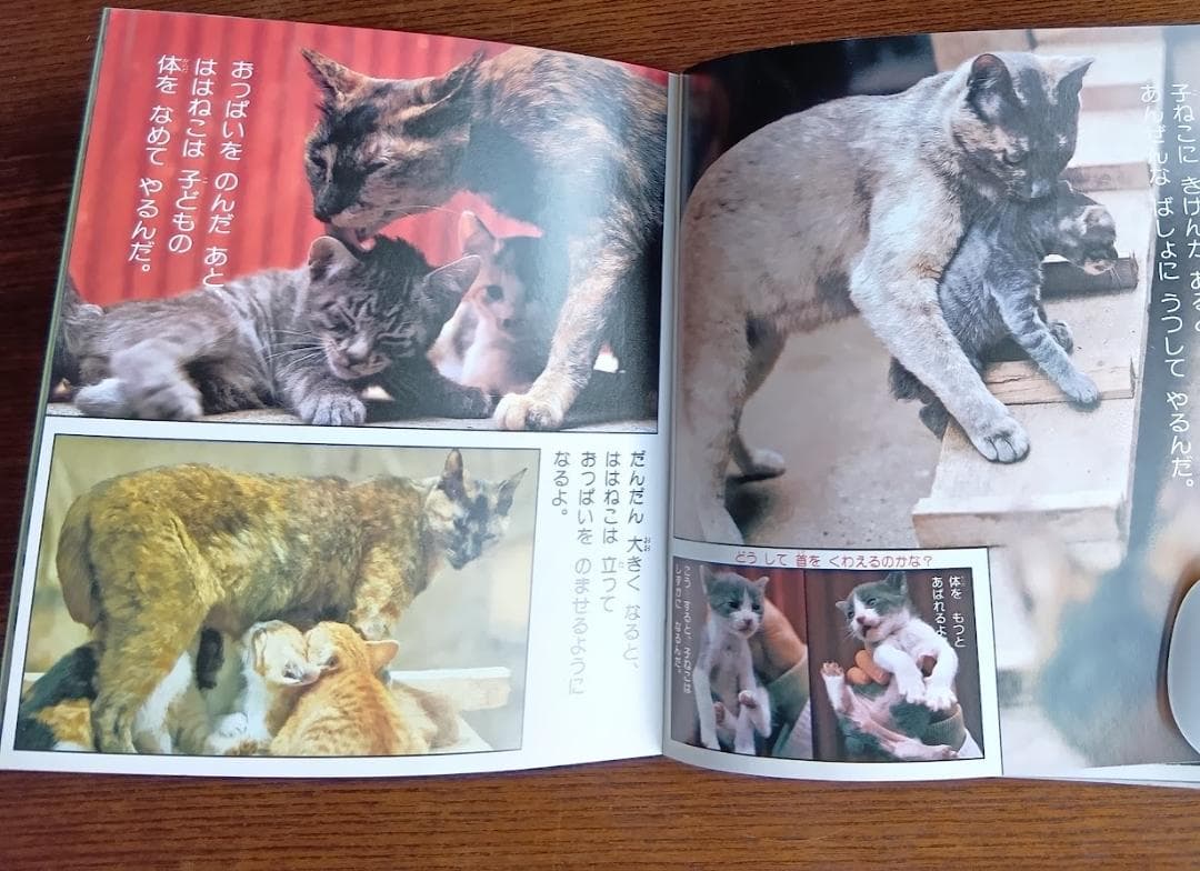 ねこ 小学館こども文庫　科学シリーズ　⑨ (1982年)