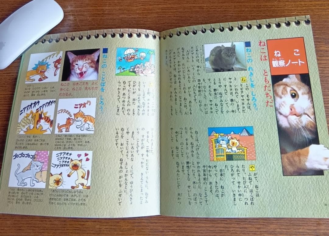 ねこ 小学館こども文庫　科学シリーズ　⑨ (1982年)