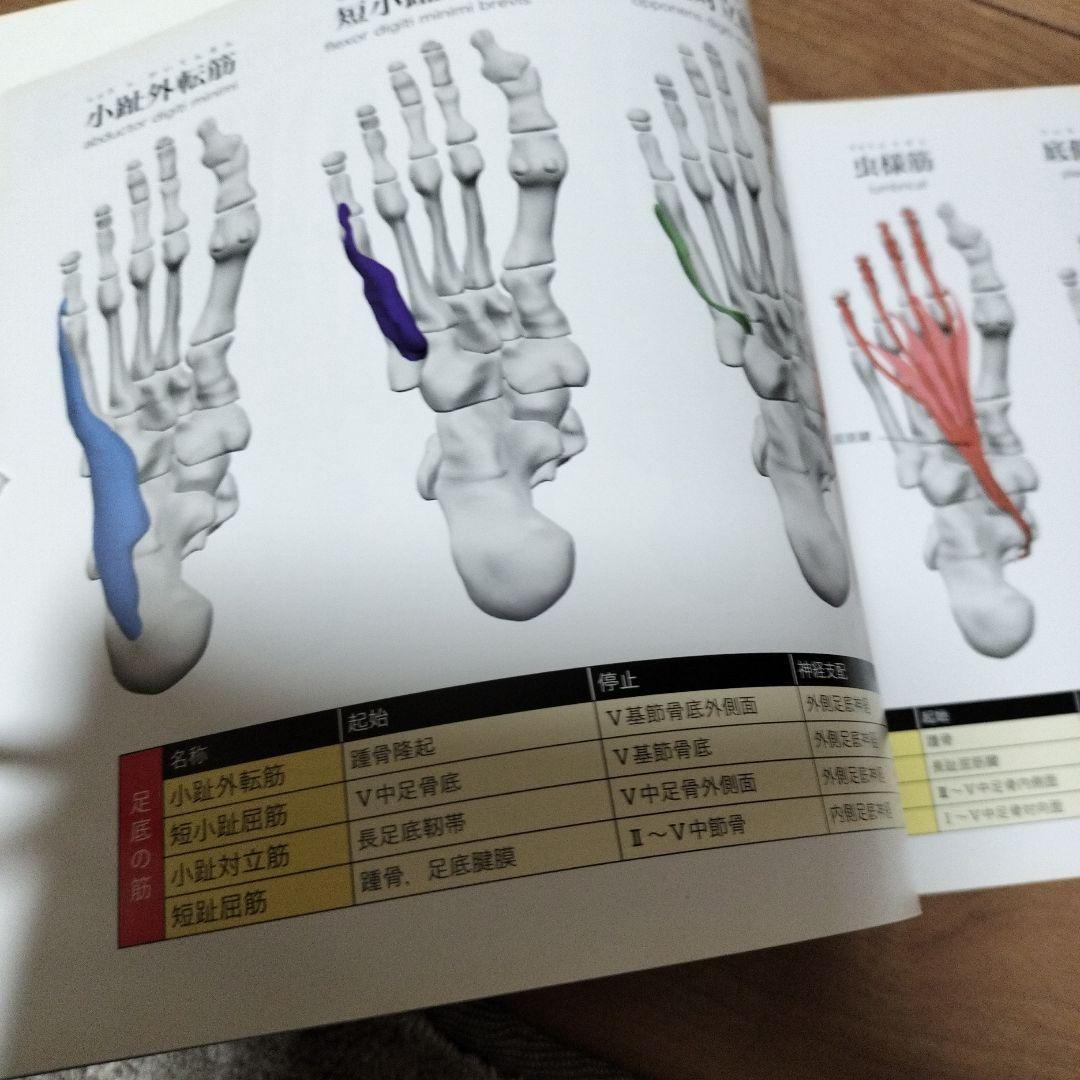 MRI断層解剖アトラス : 3Dで見る骨と筋 : 3D Anatomy Pro…