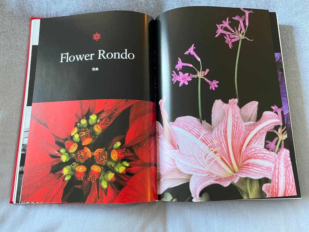 [2014] ARAKI 荒木経惟　TASCHEN製
