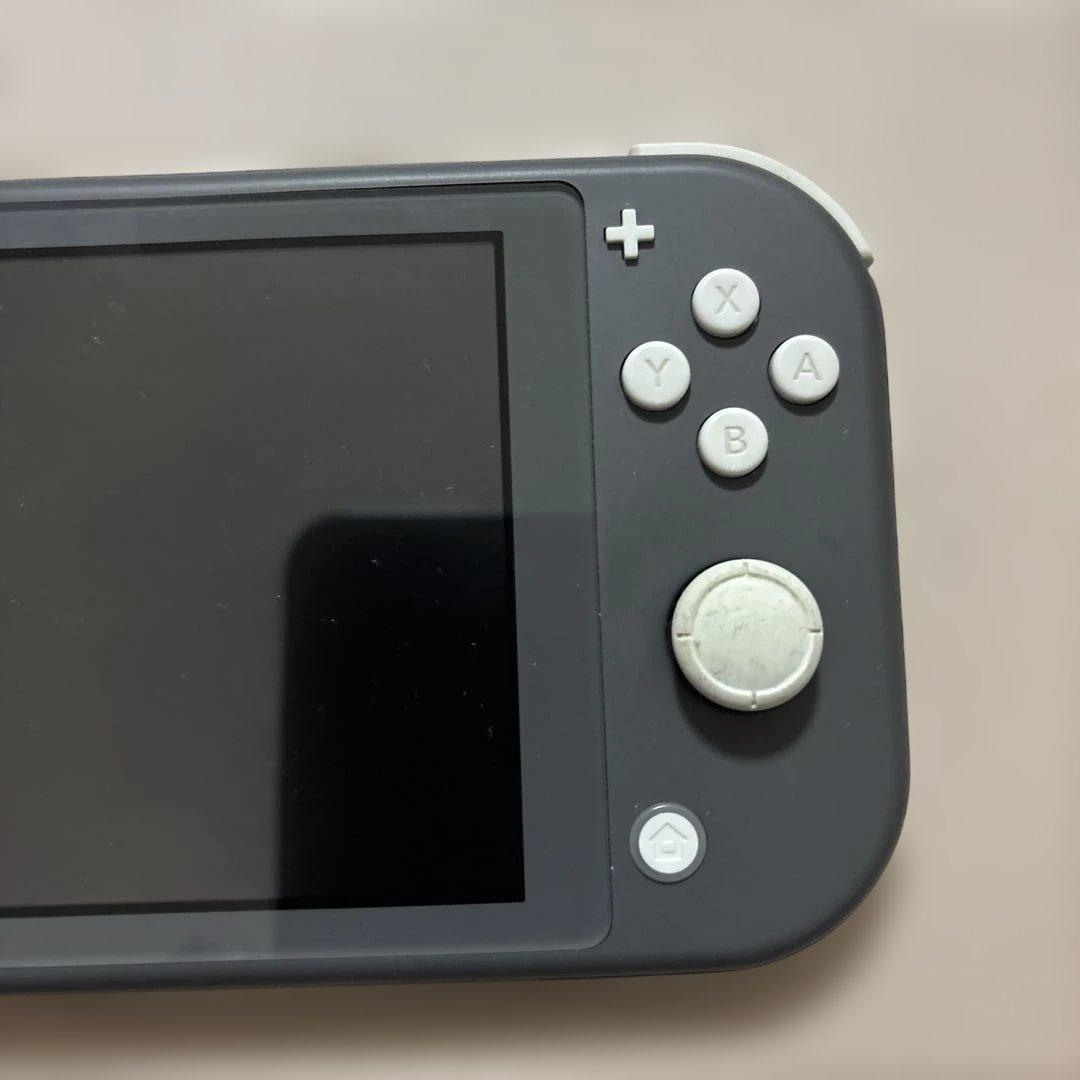 Nintendo Switch Lite 本体　ジャンク品　充電不可