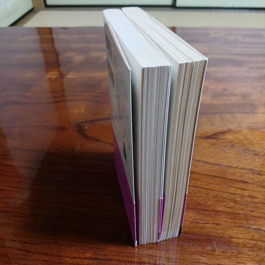 ストロベリー・ロード上、下の2冊セットです。石川好。第20回太宰賞受賞作。