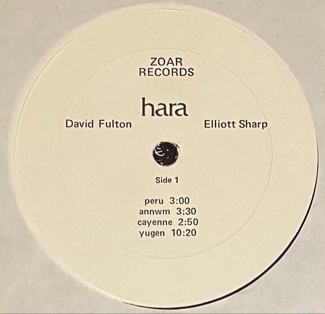 洋楽 David Fulton / Elliott Sharp - Hara