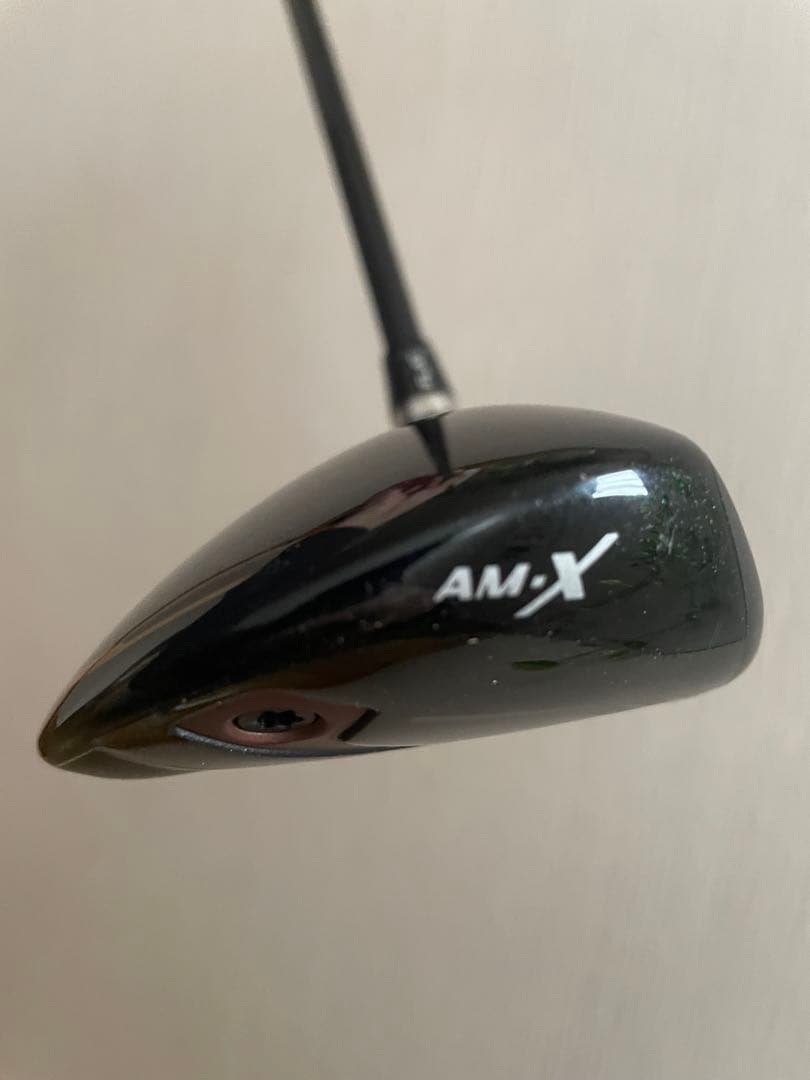 ロイヤルコレクション AM-X 5W