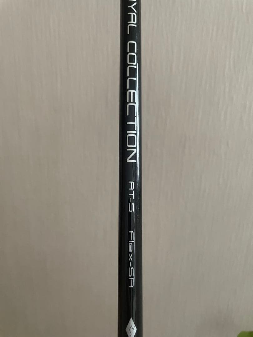ロイヤルコレクション AM-X 5W