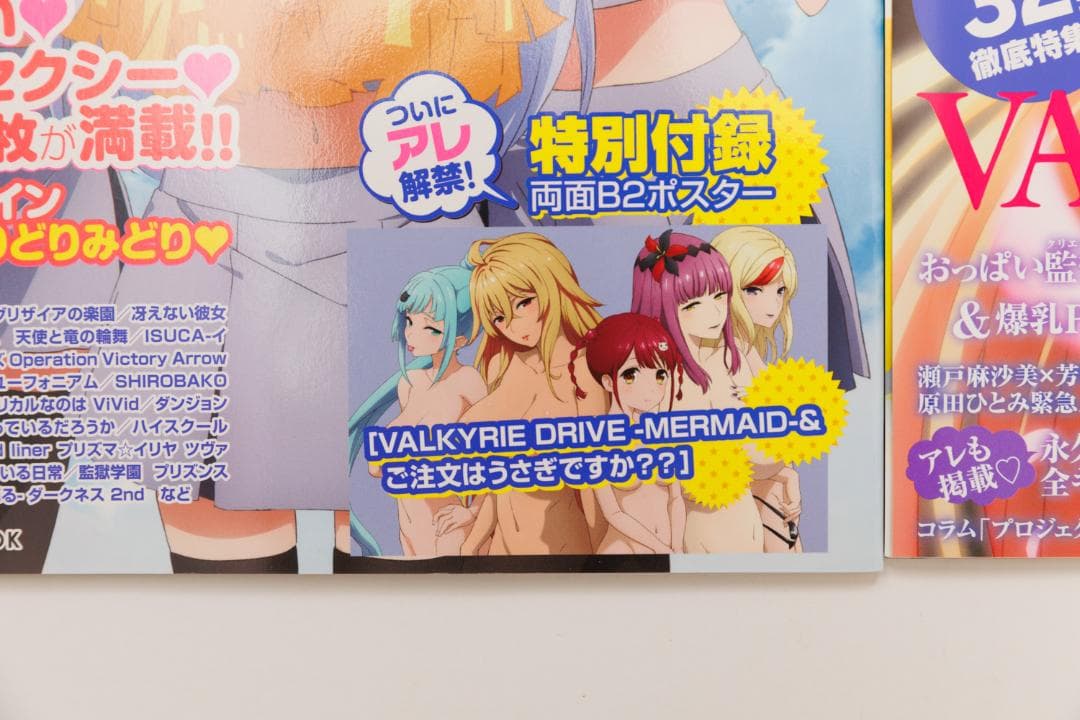 娘type VALKYRIE DRIVE 2冊セット