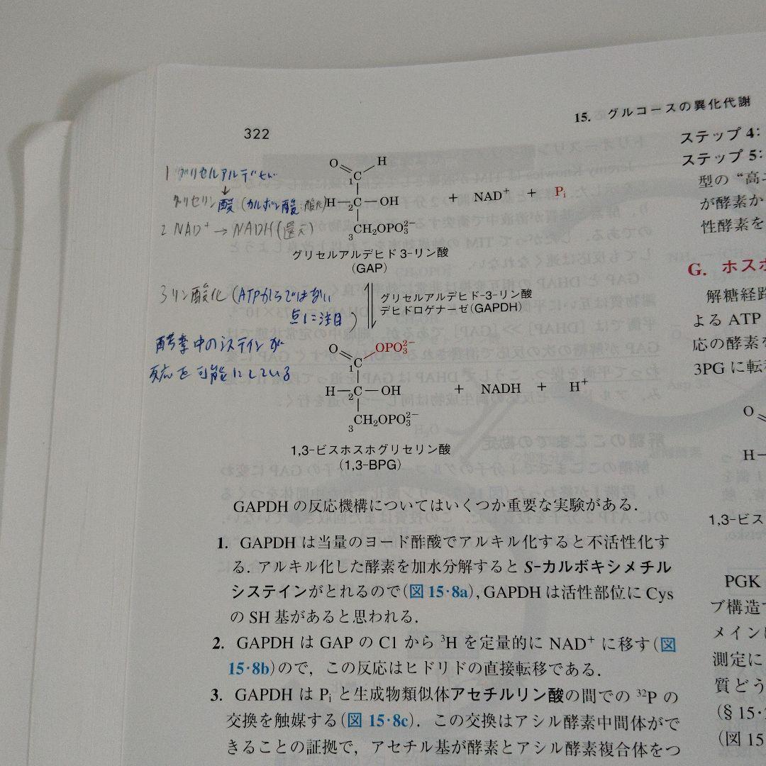 ヴォート基礎生化学 第5版　東京化学同人　箱（ケース）なし