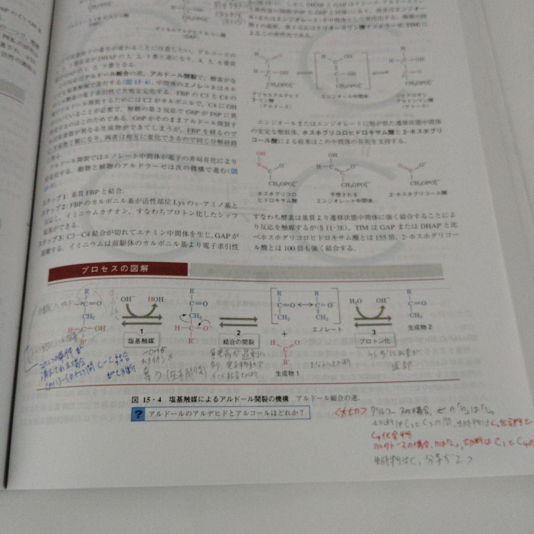 ヴォート基礎生化学 第5版　東京化学同人　箱（ケース）なし