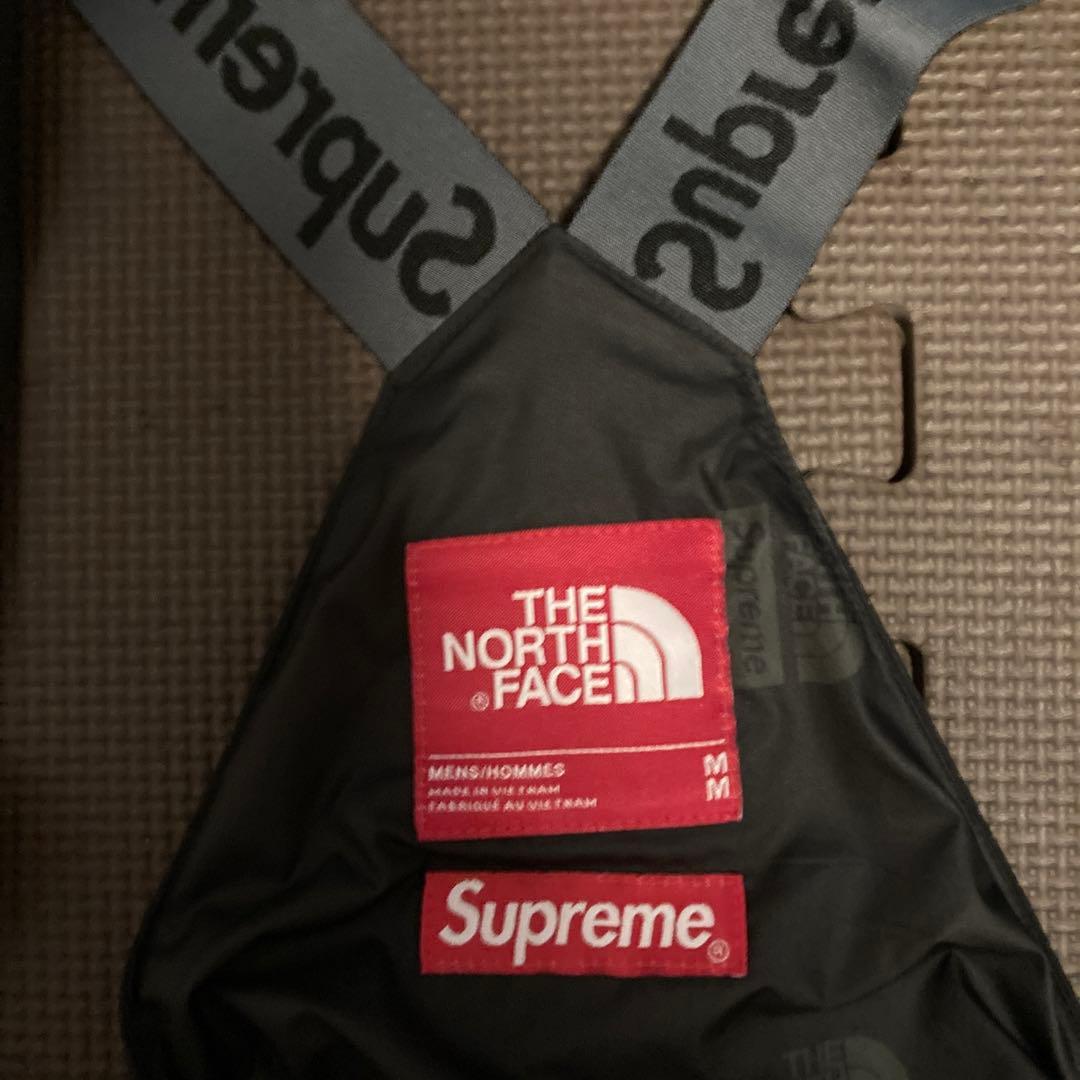 スキー supreme The North Face Expedition Pant
