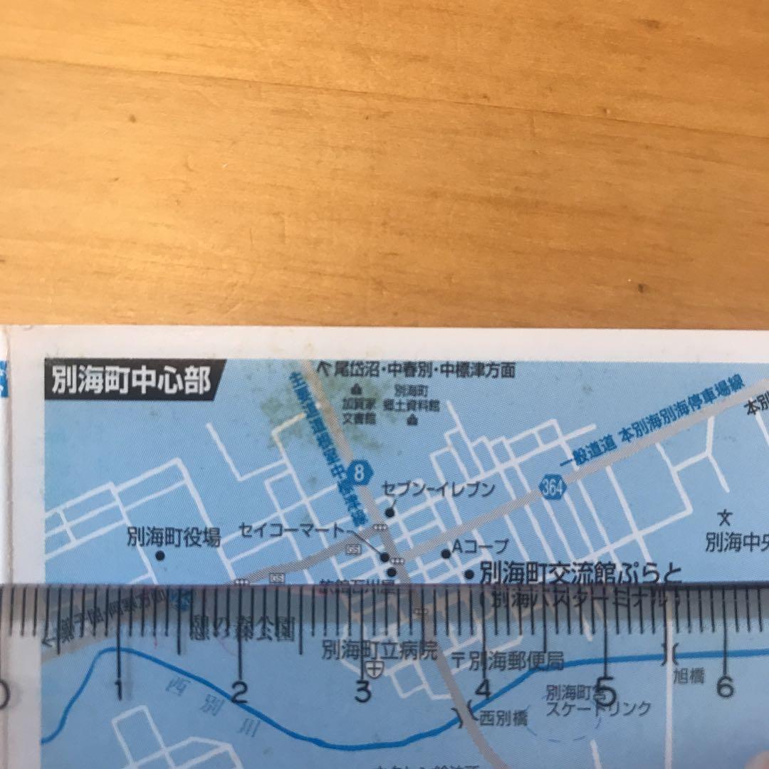 「大竹伸朗と別海 2007」図録　非売品　激レア【送料込みにしました】
