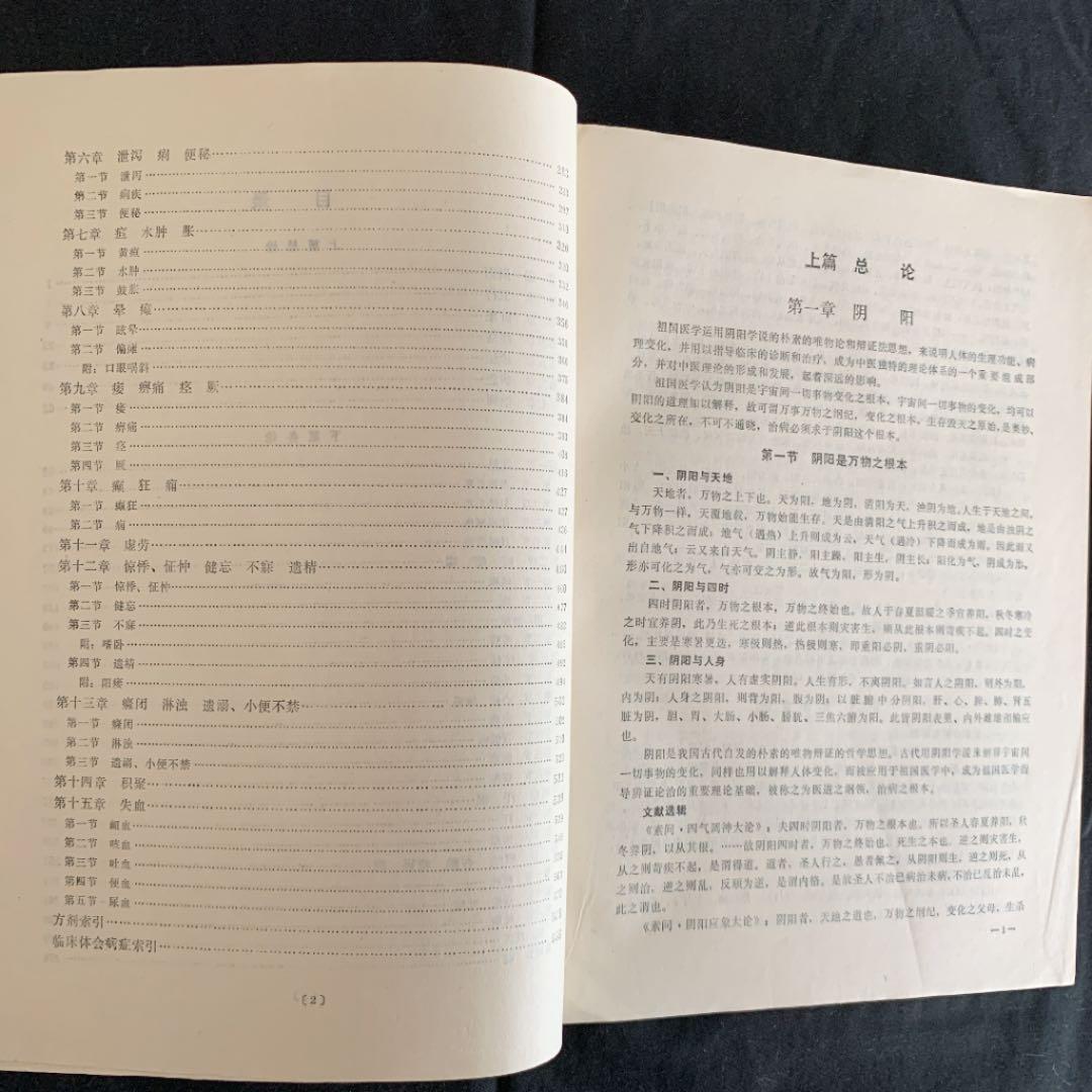 中医内科辨証学　中国語版